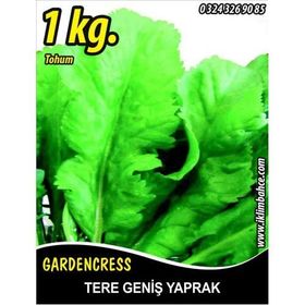 Rem Seeds 1kg Toros Yeşili Tere Tohumu