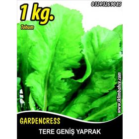Rem Seeds 1kg Toros Yeşili Tere Tohumu