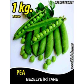 Rem Seeds 1kg Utrillo Araka İri Tane Bezelye Tohumu