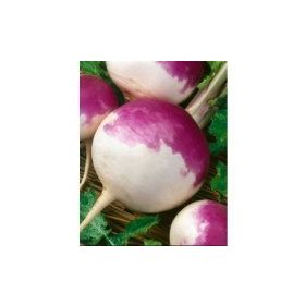 Rem Seeds 1kg Yem Şalgamı Tohumu