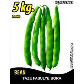 Rem Seeds 2kg Bora Oturak Fasulye Tohumu