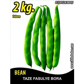 Rem Seeds 2kg Bora Oturak Fasulye Tohumu