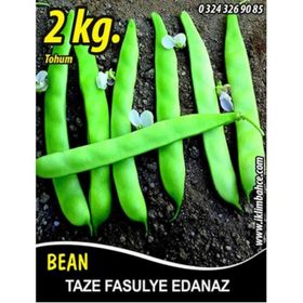 Rem Seeds 2kg Edanaz Oturak Fasulye Tohumu
