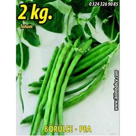 Rem Seeds 2kg Karagöz Karnıkara Börülce Tohumu