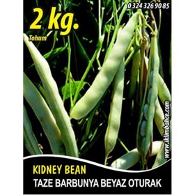 Rem Seeds 2kg Karlı Beyaz Oturak Barbunya Tohumu