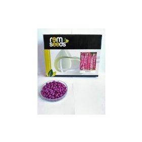 Rem Seeds 2kg Oturak Hale Barbunya Tohumu