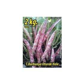 Rem Seeds 2kg Oturak Hale Barbunya Tohumu