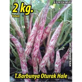 Rem Seeds 2kg Oturak Hale Barbunya Tohumu