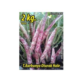 Rem Seeds 2kg Oturak Hale Barbunya Tohumu