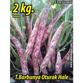 Rem Seeds 2kg Oturak Hale Barbunya Tohumu