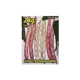 Rem Seeds 2kg Sırık Defne Barbunya Tohumu