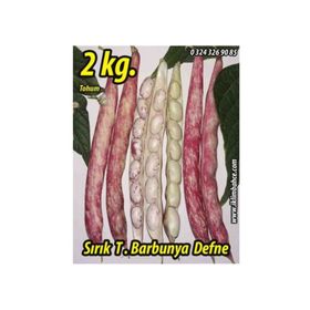 Rem Seeds 2kg Sırık Defne Barbunya Tohumu