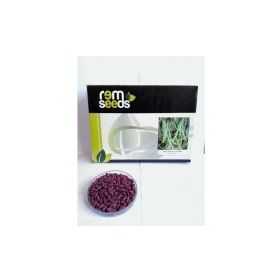 Rem Seeds 2kg Tegen Oturak Fasulye Tohumu