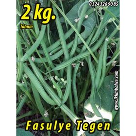 Rem Seeds 2kg Tegen Oturak Fasulye Tohumu
