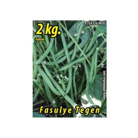 Rem Seeds 2kg Tegen Oturak Fasulye Tohumu