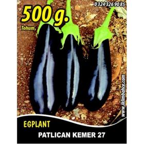 Rem Seeds 500gr Kemer 27 Patlıcan Tohumu
