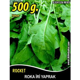 Rem Seeds 500gr Toros İri Yaprak Roka Tohumu