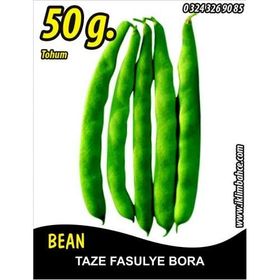 Rem Seeds 50gr Bora Oturak Fasulye Tohumu
