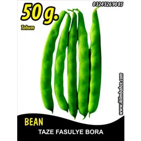 Rem Seeds 50gr Bora Oturak Fasulye Tohumu