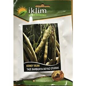 Rem Seeds 50gr Karlı Beyaz Oturak Barbunya Tohumu