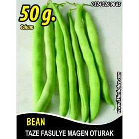 Rem Seeds 50gr Magen Oturak Fasulye Tohumu