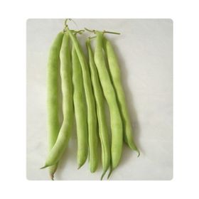 Rem Seeds 50gr Magen Oturak Fasulye Tohumu