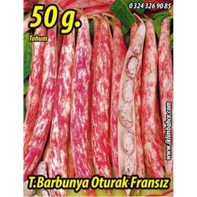 Rem Seeds 50gr Oturak Fransız Tipi Barbunya Tohumu