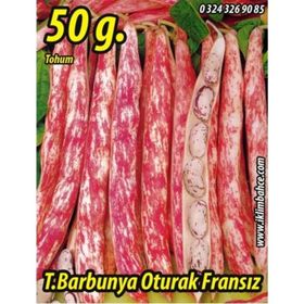 Rem Seeds 50gr Oturak Fransız Tipi Barbunya Tohumu