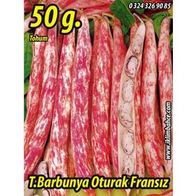 Rem Seeds 50gr Oturak Fransız Tipi Barbunya Tohumu