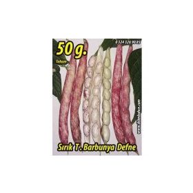 Rem Seeds 50gr Sırık Defne Barbunya Tohumu