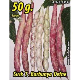 Rem Seeds 50gr Sırık Defne Barbunya Tohumu