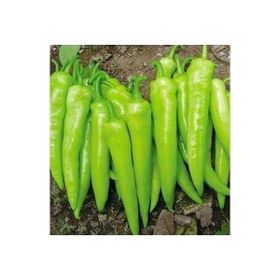 Rem Seeds 5gr Bağcı Çarliston Biber Tohumu