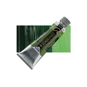 Rembrandt 150 ml Seri 2 No 623 Sap Green Yağlı Boya