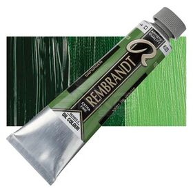 Rembrandt 40 ml 2 No:623 Sap Green Yağlı Boya