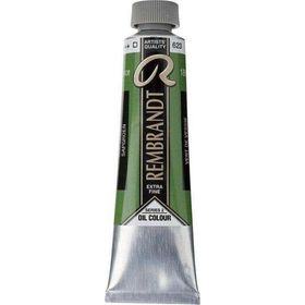 Rembrandt 40 ml 2 No:623 Sap Green Yağlı Boya