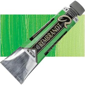 Rembrandt 618 Perm Green 40 ml Yağlı Boya