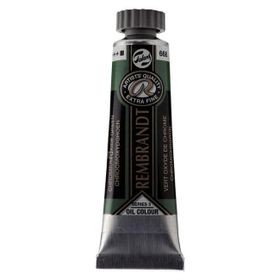 Rembrandt Yağlı Boya 40 ml Seri 3 Chromium Oxide Green Yağlı Boya