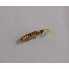 Remixon Crafter Shad 8 Adet 6.5 cm Dirty Roach Silikon Yem