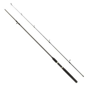 Remixon Flex Spin 165 cm 10-30 gr Atarlı Olta Kamışı
