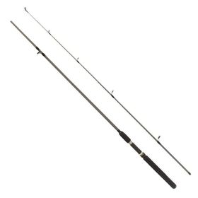 Remixon Flex Spin 165 cm 10-30 gr Atarlı Olta Kamışı