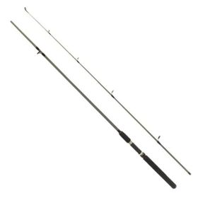Remixon Flex Spin 180 cm 10-30 gr 2 Parça Spin Kamış