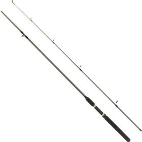 Remixon Flex Spin 180 cm 10-30 gr 2 Parça Spin Kamış