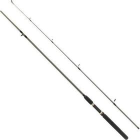 Remixon Flex Spin 180 cm 10-30 gr 2 Parça Spin Kamış