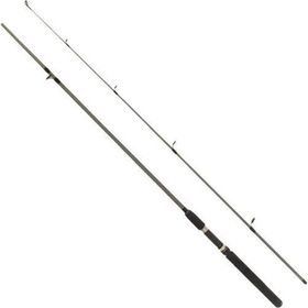 Remixon Flex Spin 180 cm 10-30 gr 2 Parça Spin Kamış