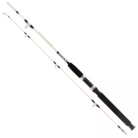 Remixon Hurricane Serisi 165 cm 20-40 gr Olta Kamışı
