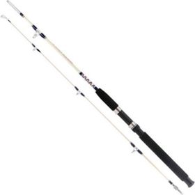 Remixon Hurricane Trolling 165 cm Olta Kamışı
