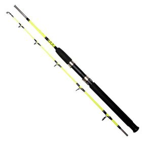 Remixon Pagrus Lemon 165 cm 60-120 gr Aksiyonlu Tekne Kamışı