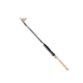 Remixon Quantum 210 cm 20-40 gr Kamış
