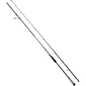 Remixon Ryuji Matrix Fuji 3.00 m 30-100 gr 2 Parça Shore Jig Olta Kamışı