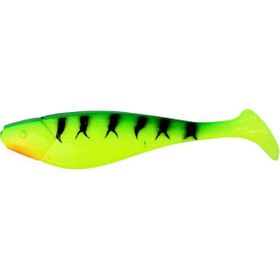 Remixon SH100 10 cm 10 Adet Standart-P150 Silikon Yem